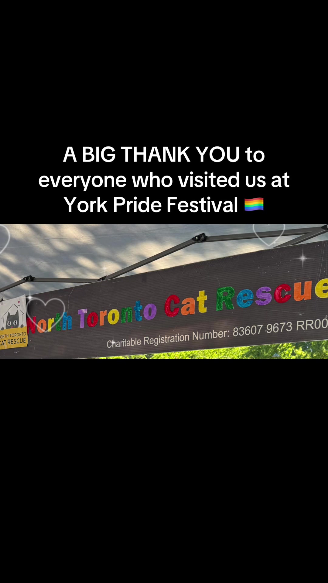 @North Toronto Cat Rescue