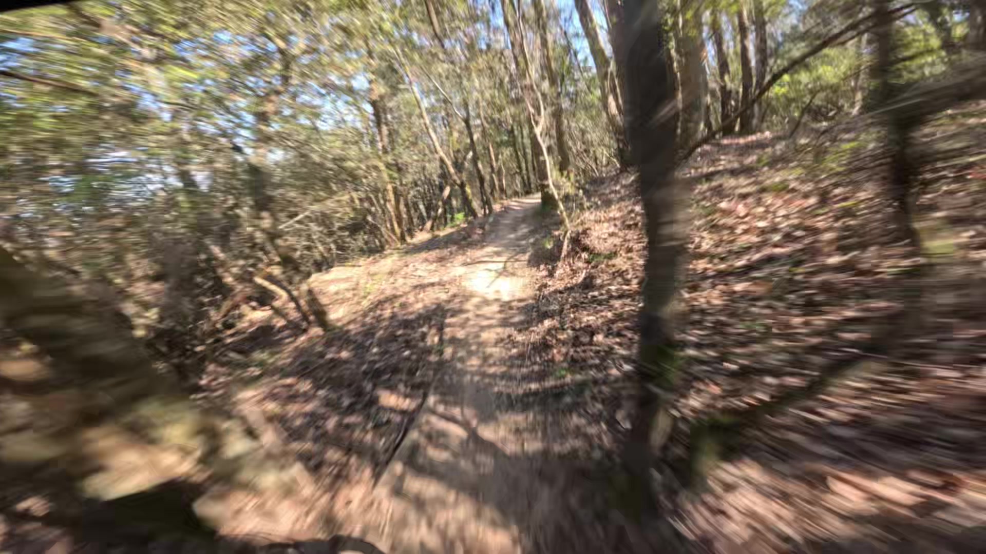 @Matteo falcini