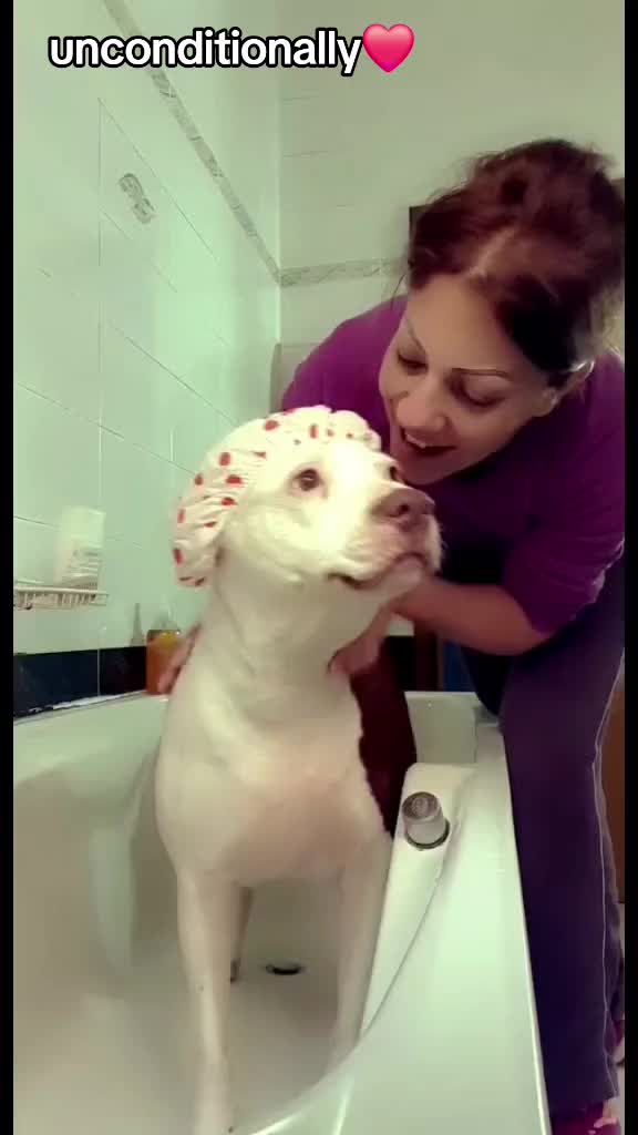 @🐶Yᑌᗰᗩ&ᑕO.🐾
