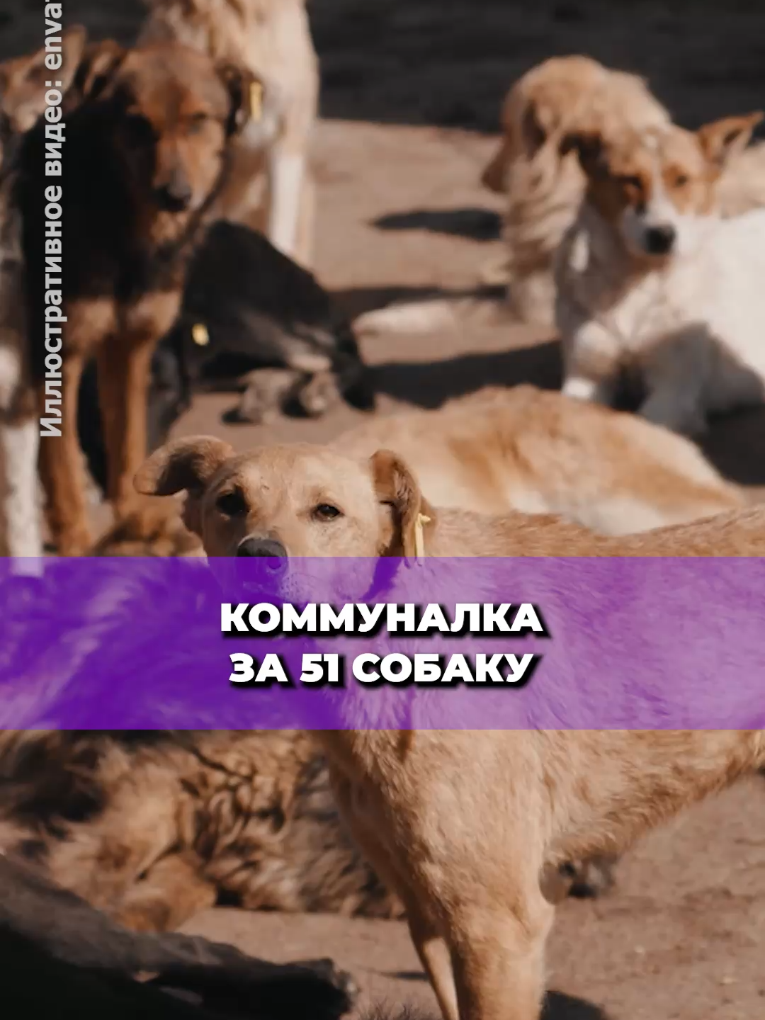 @Жалобы | Беларусь