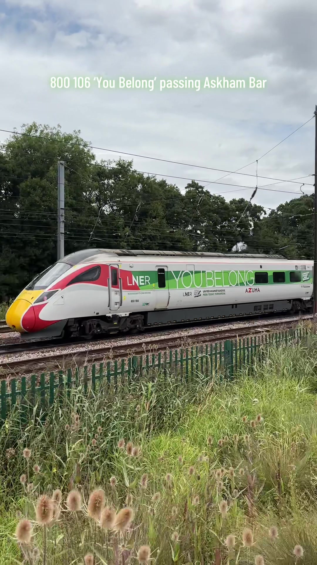 @The Duo of Train Lovers