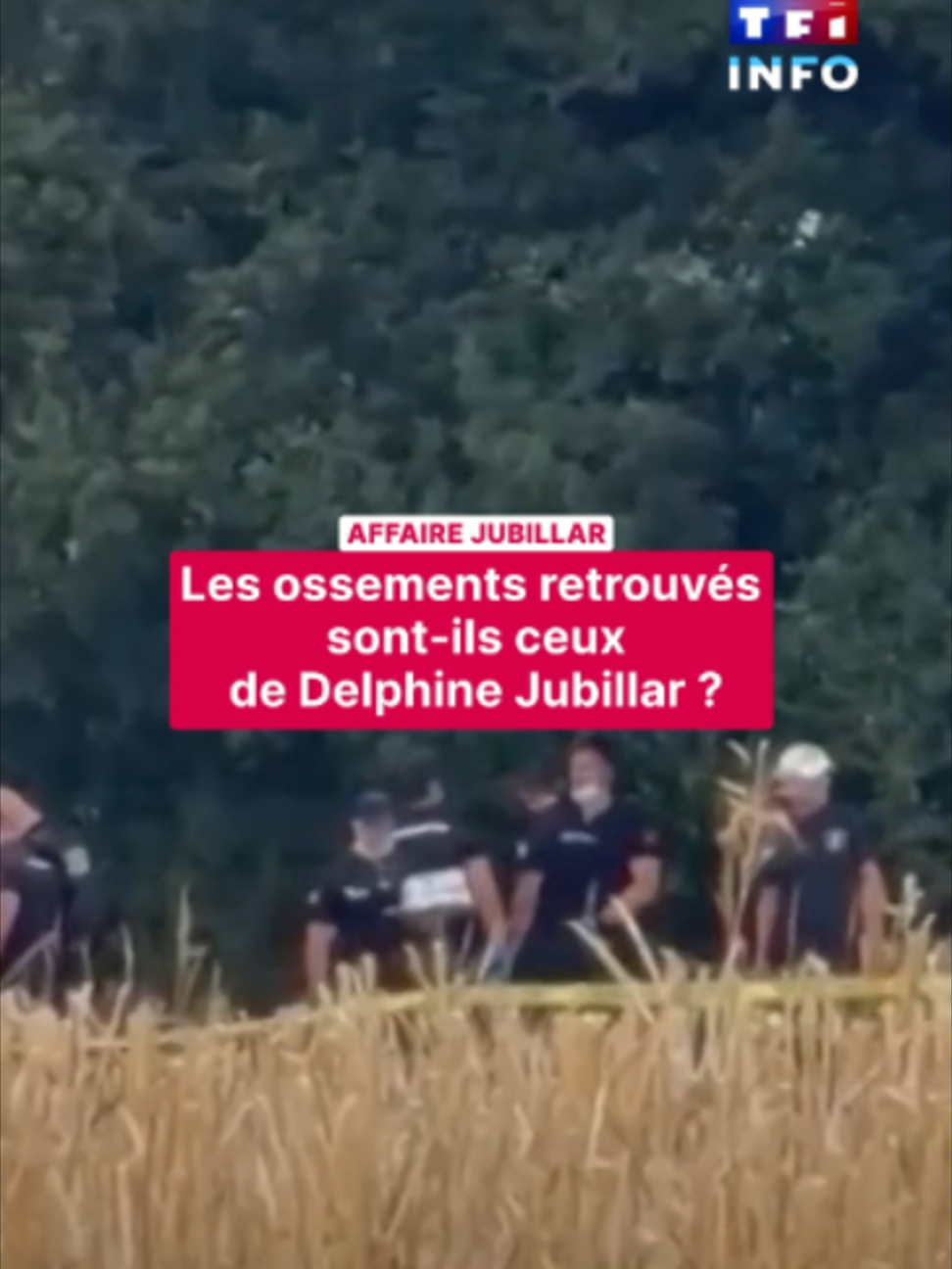 @TF1 INFO