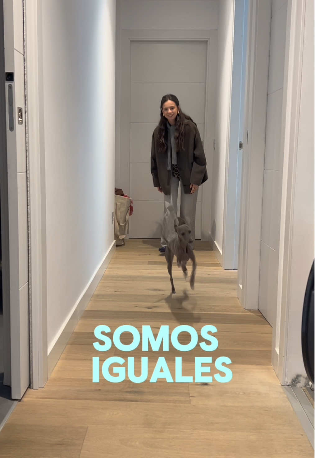 @Andrealonsor