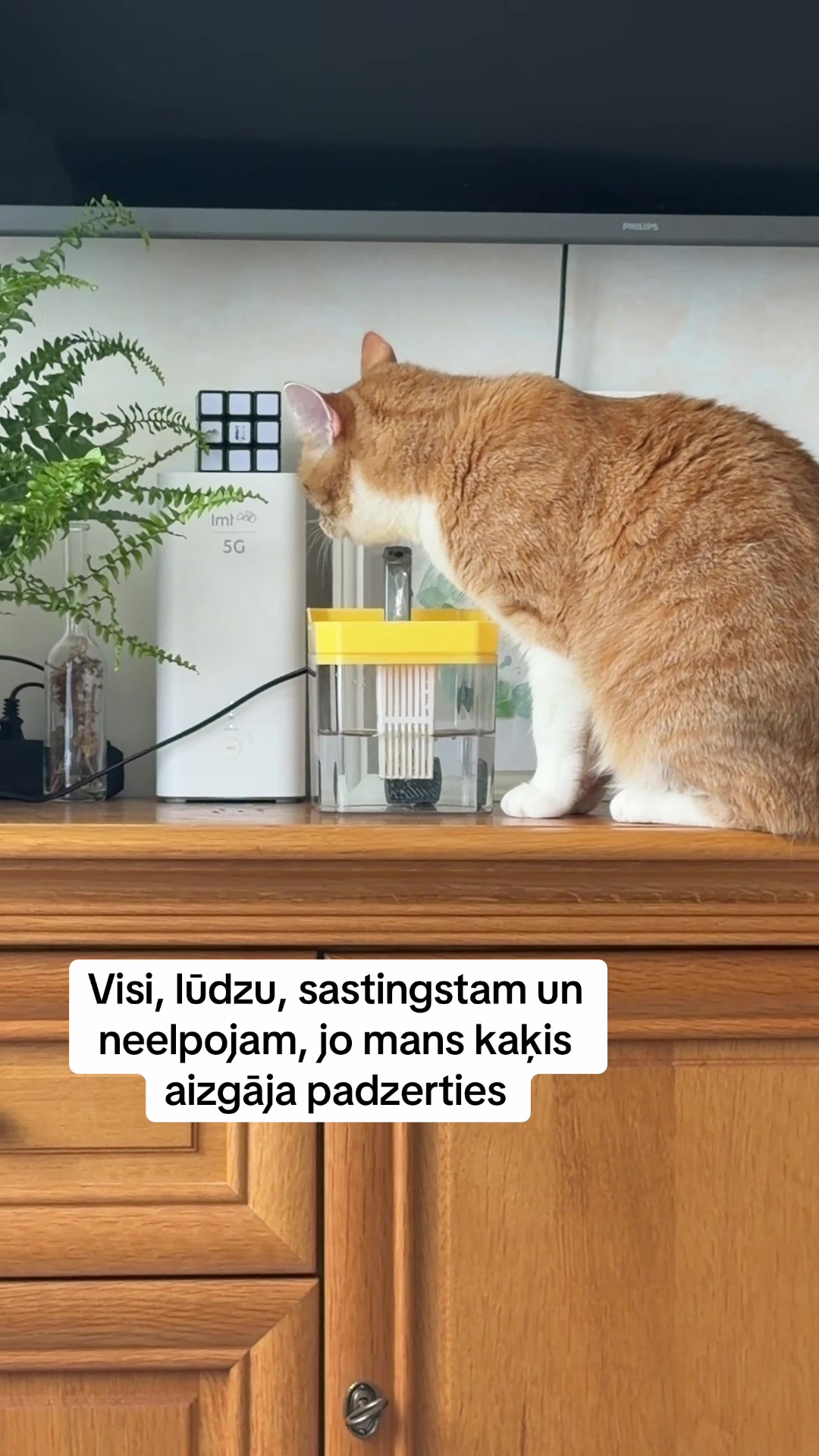 @Niima