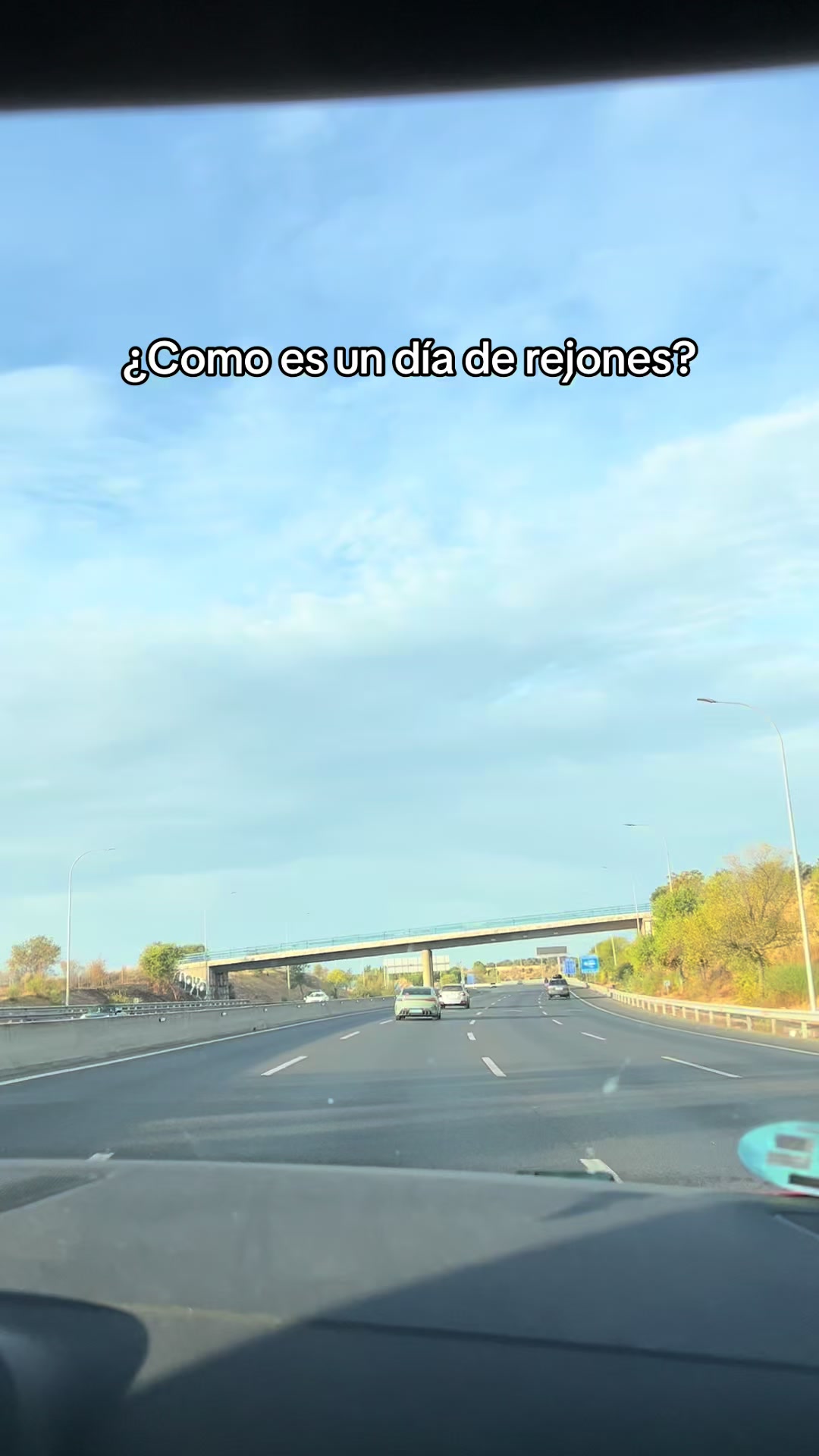 @rejoneo