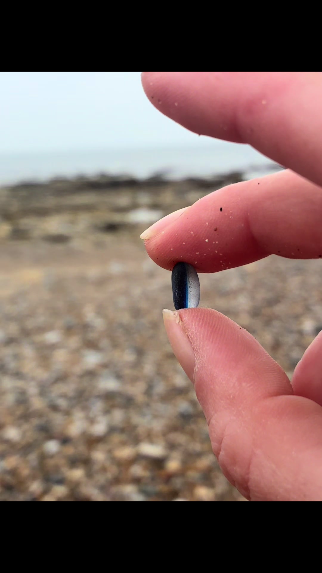 @Lauren sea glass