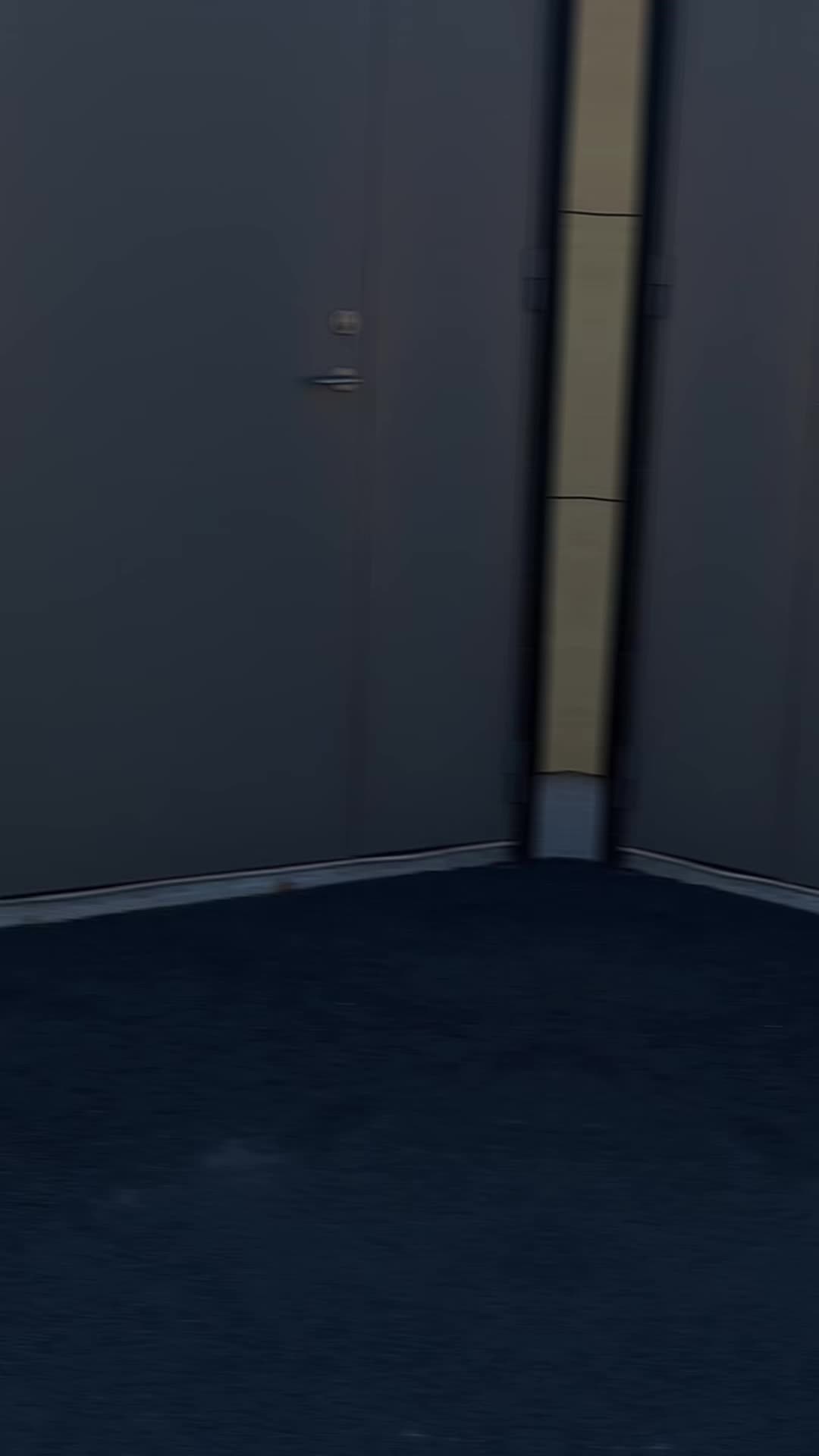 @PieSeed🦅