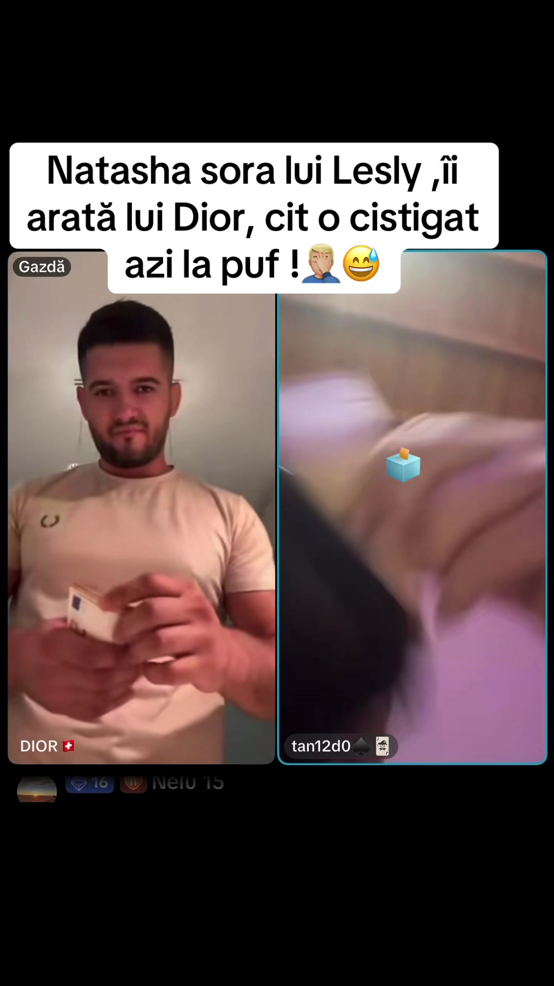 @Cutia pandorei 🗳️