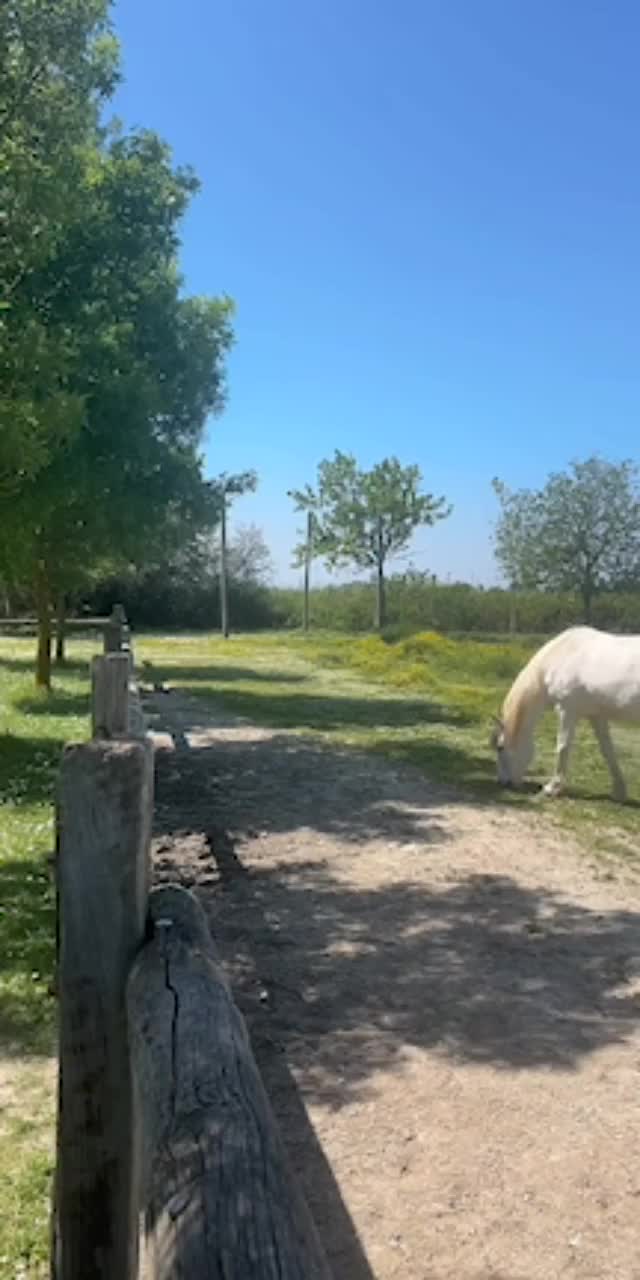 @Passione animali ❤️