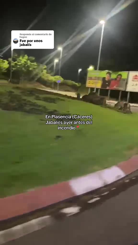 @𝐀𝐥𝐞𝐣𝐚𝐧𝐝𝐫𝐨 