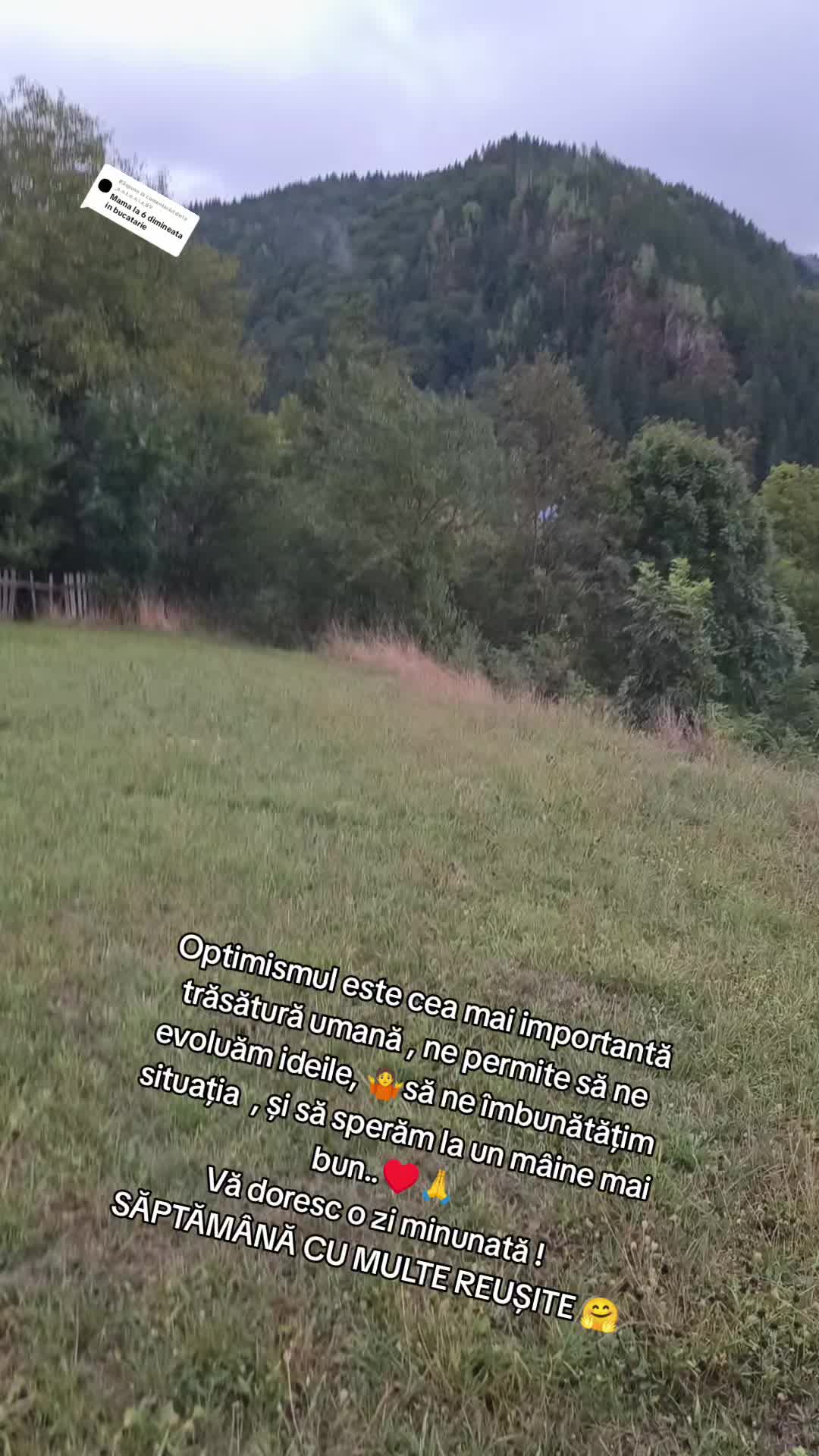 @Anna 61panga