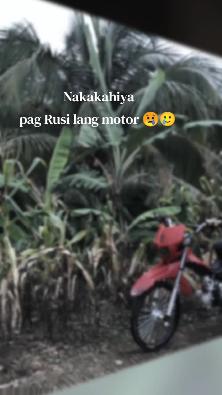 @R&Ucirc;S&Icirc;>>>B&Oslash;Y