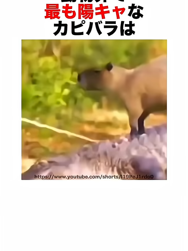 @user1040381569363