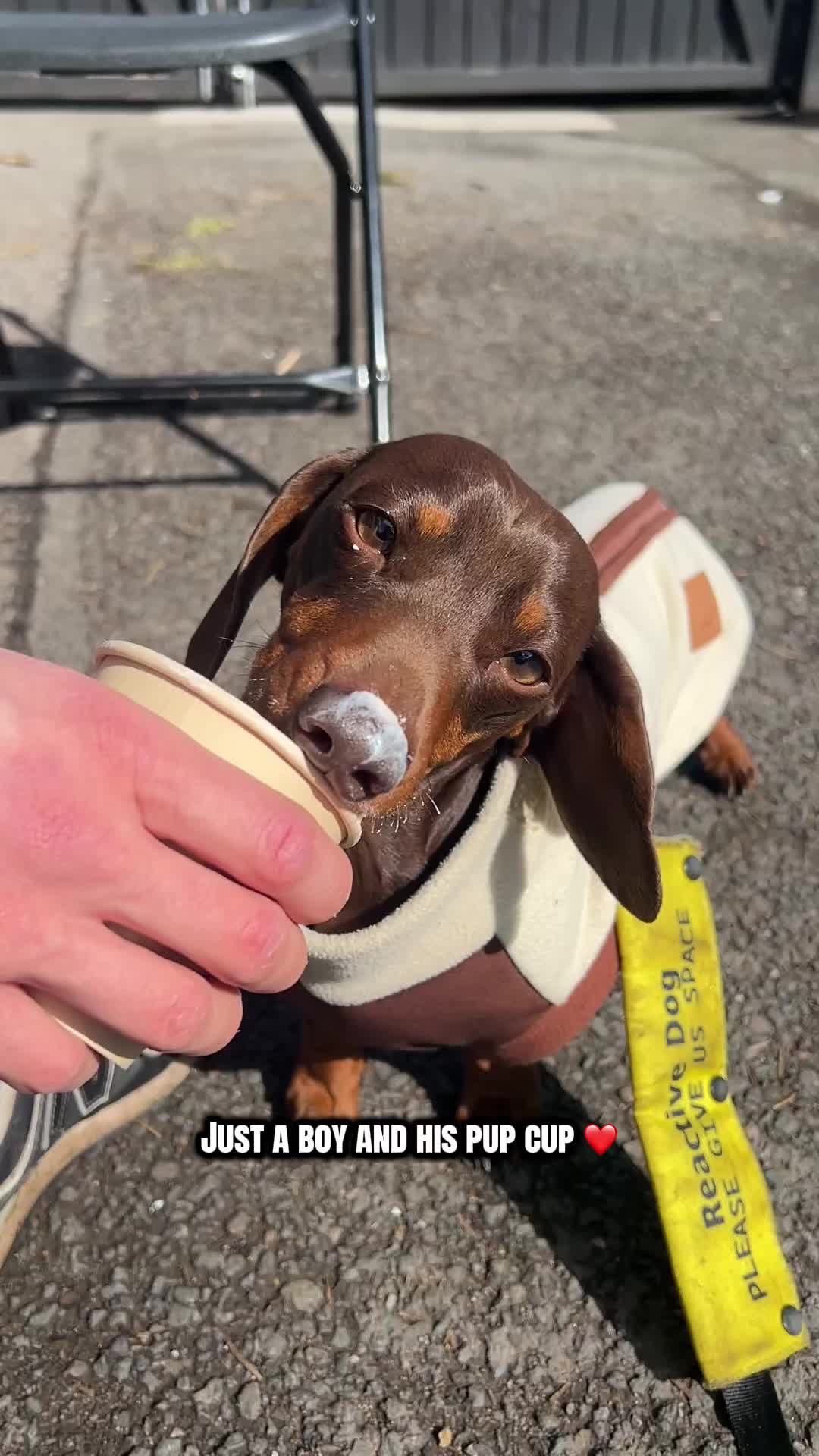 @sir_reggiethesausage