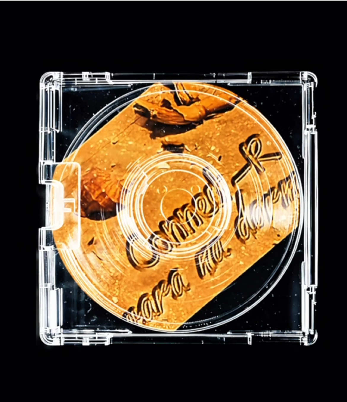 @bookofsong1