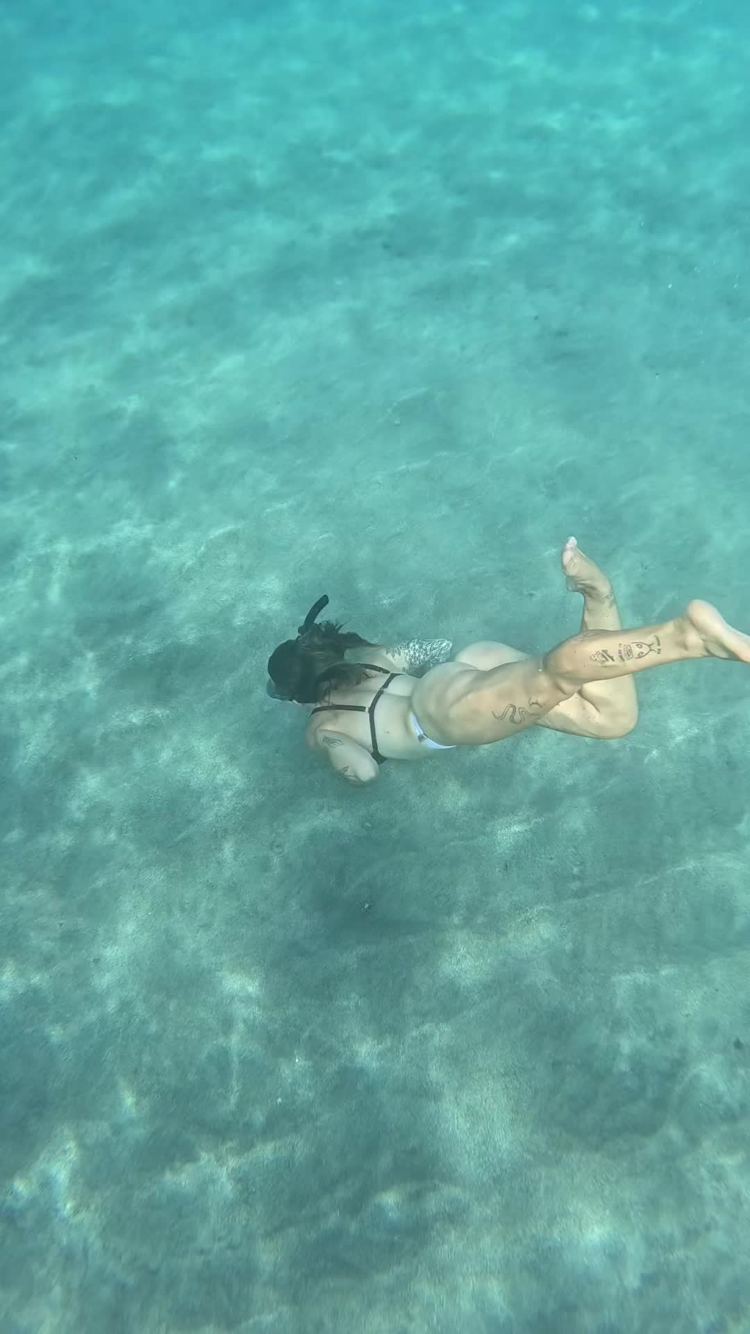 @zoesosakite