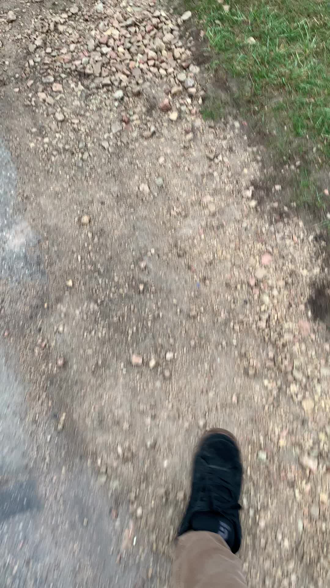 @Oto Inša