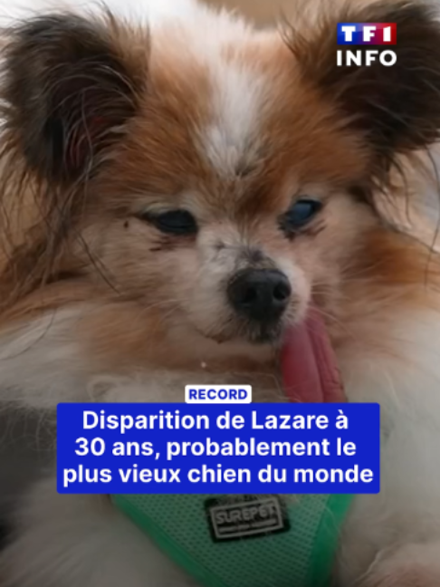 @TF1 INFO