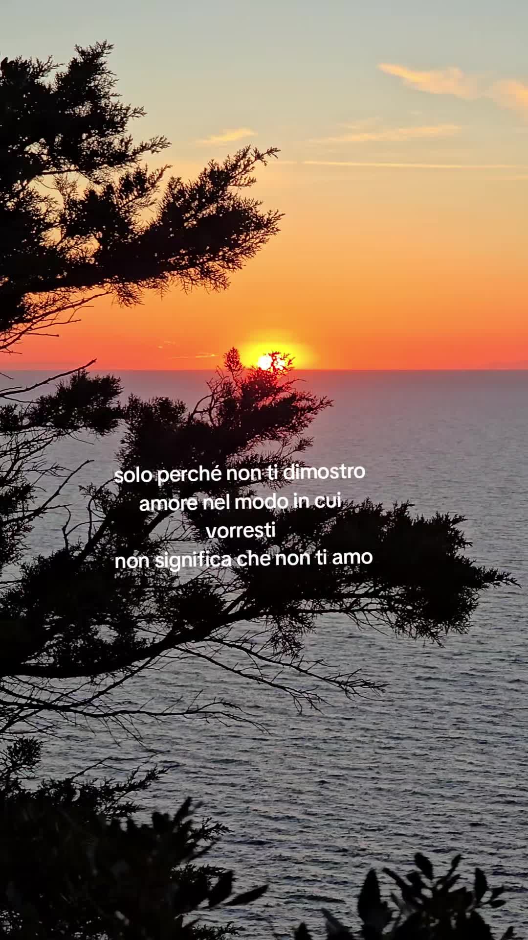@alina roman