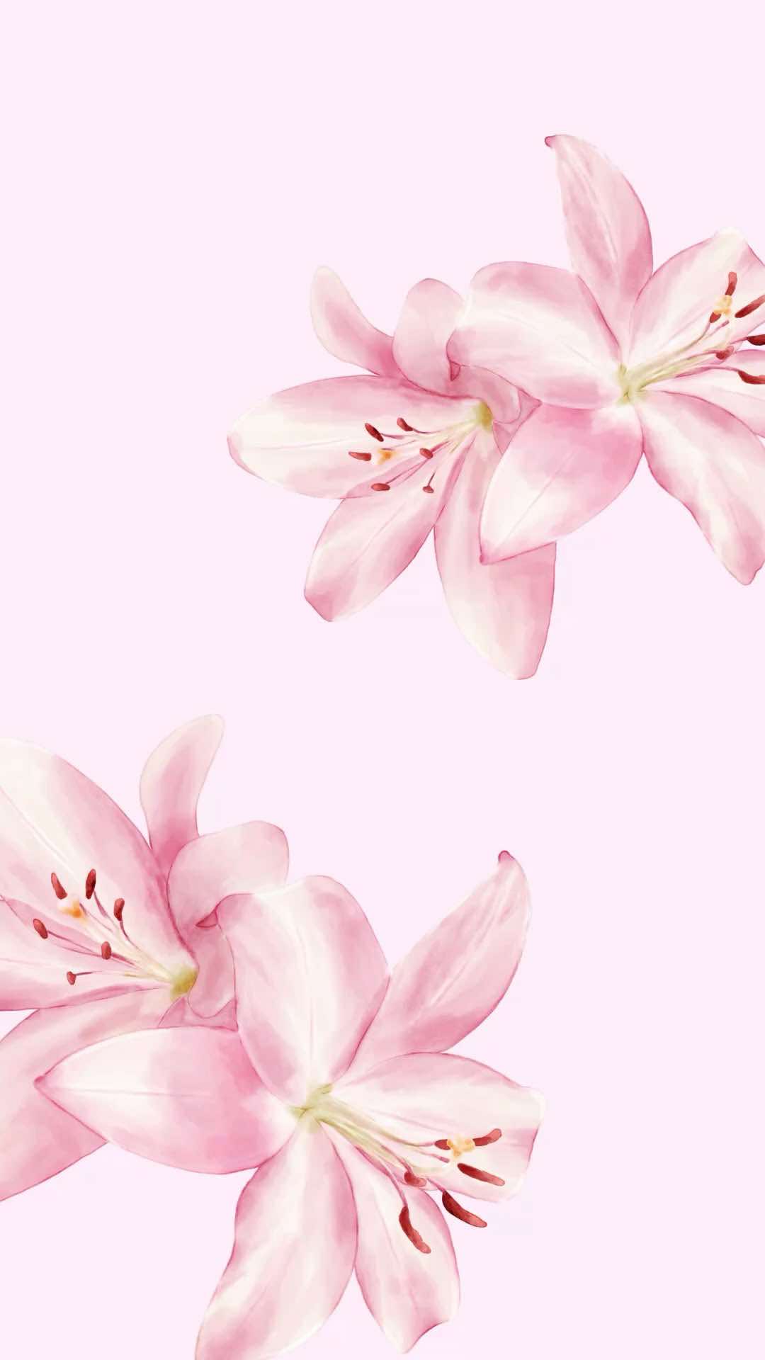 @♡♪𝓜𝓪𝓻𝓵𝓮𝔂 ♪♡