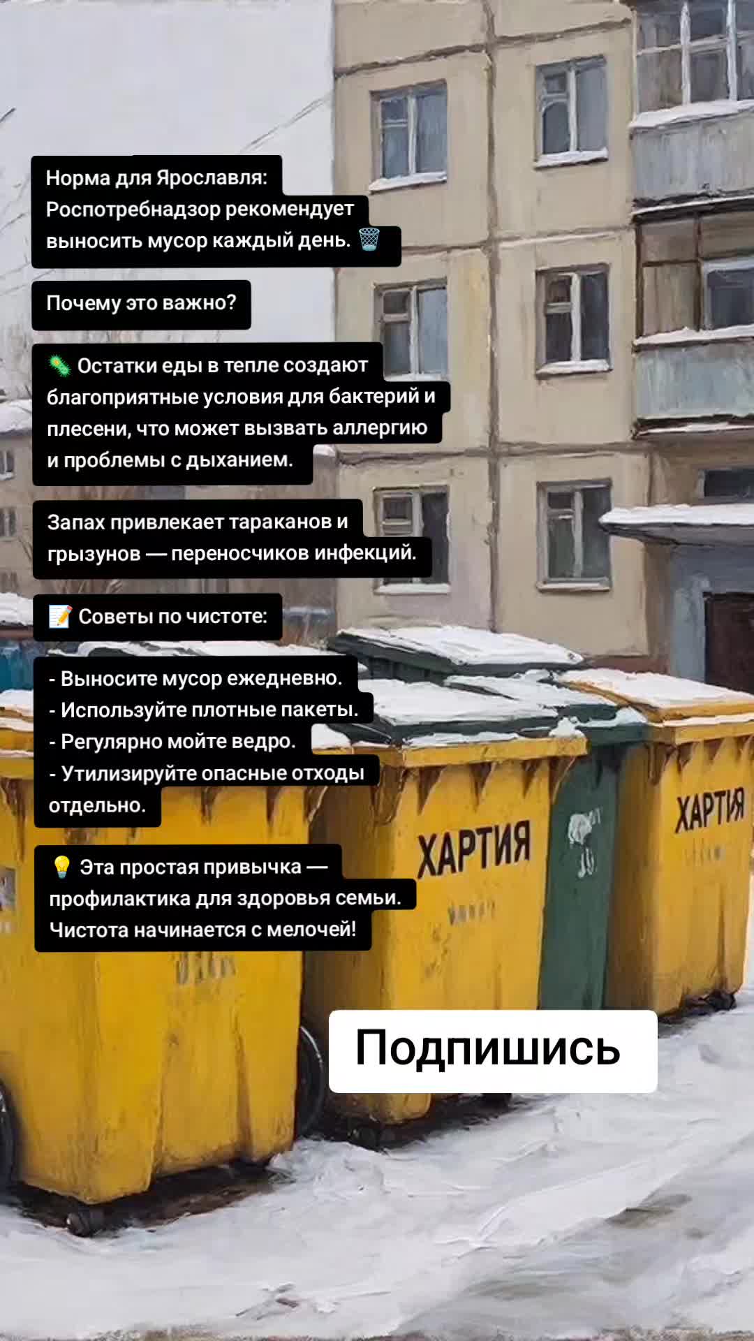 @Ярославские Новости