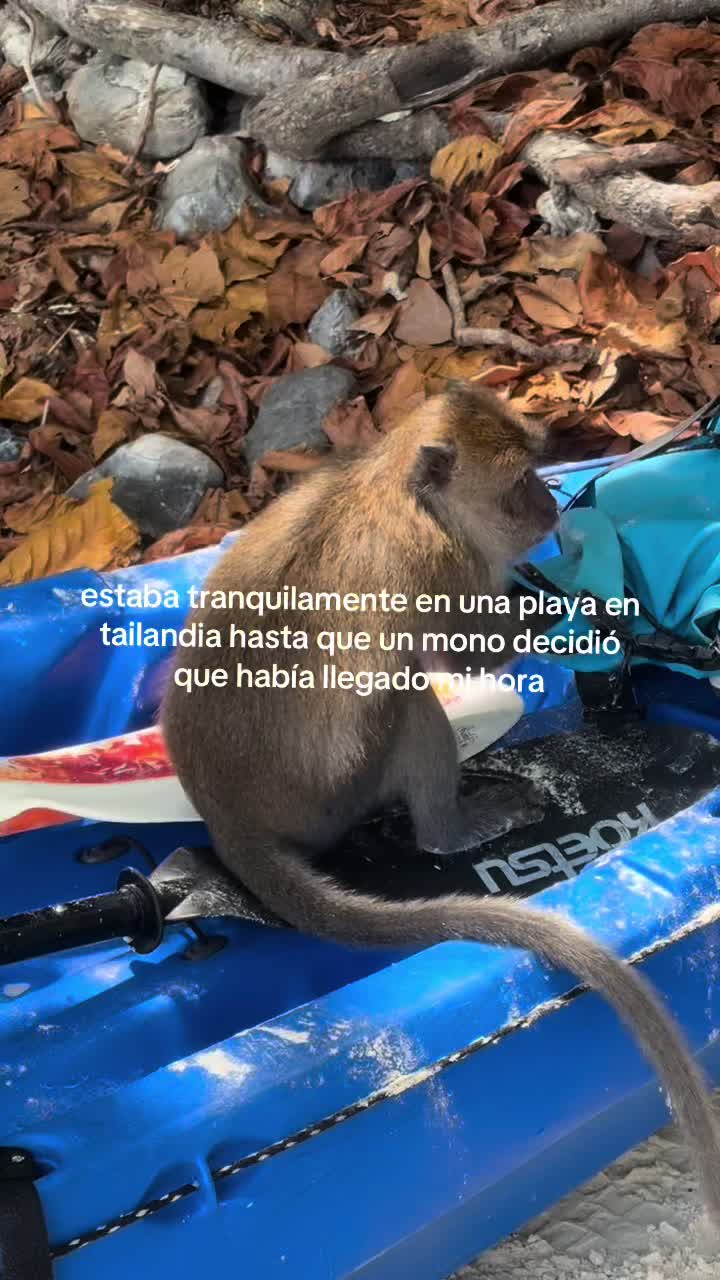 @ruiZjimenezz.