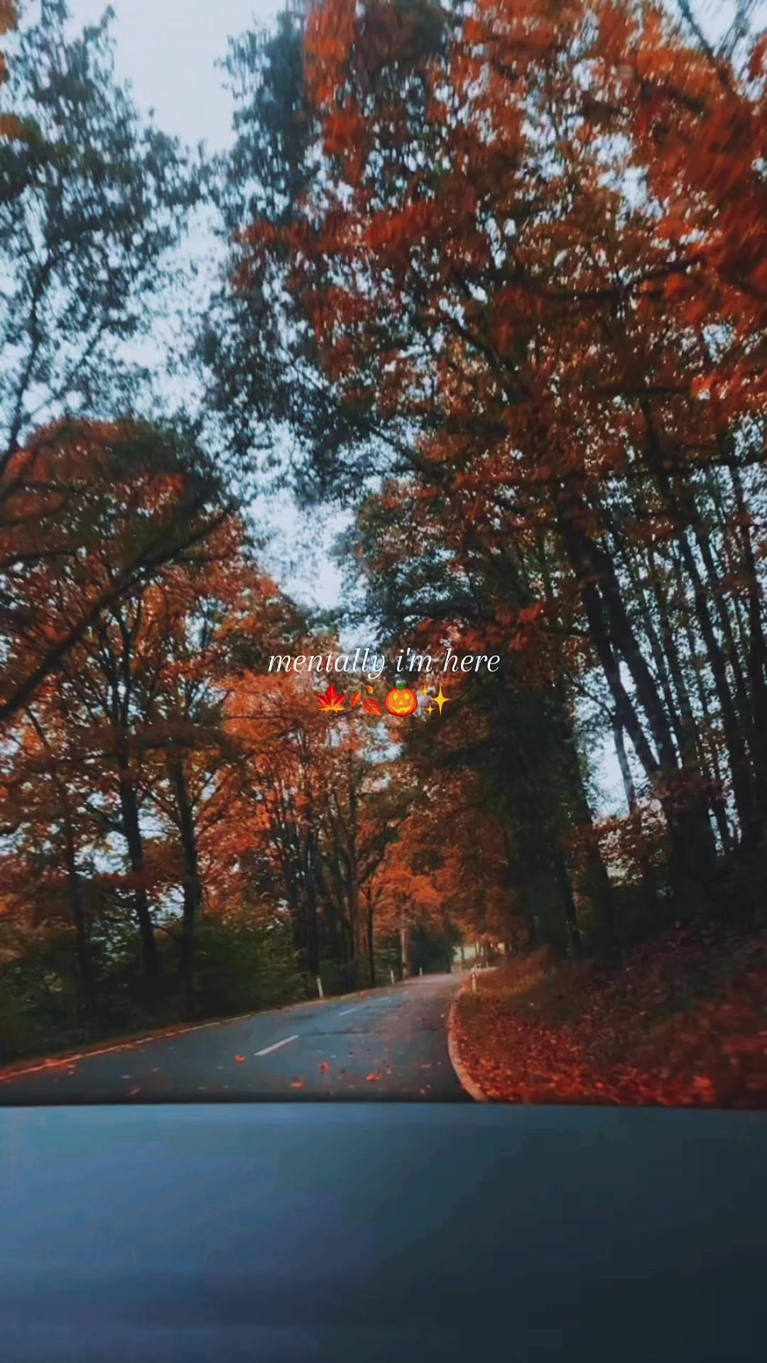 @Kerry🤍✨