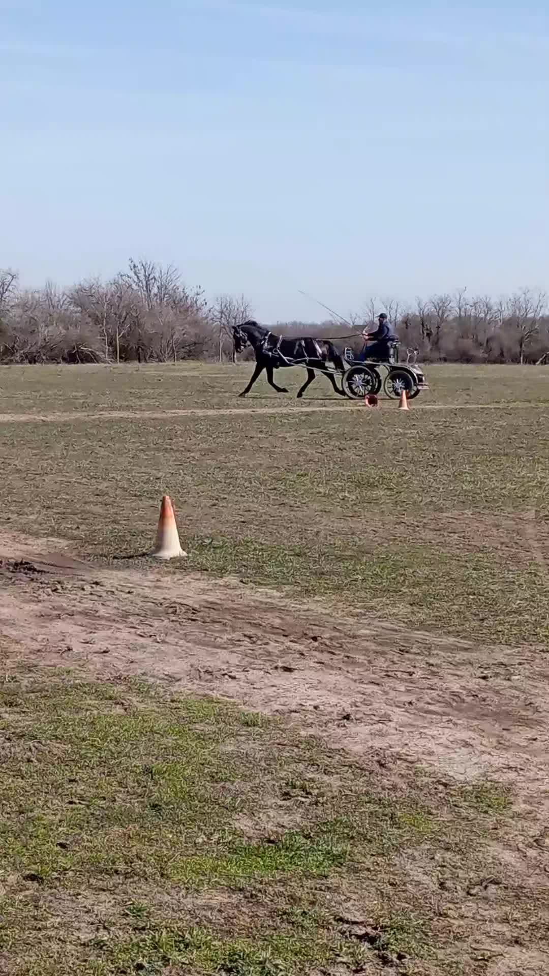 @G&aacute;bor