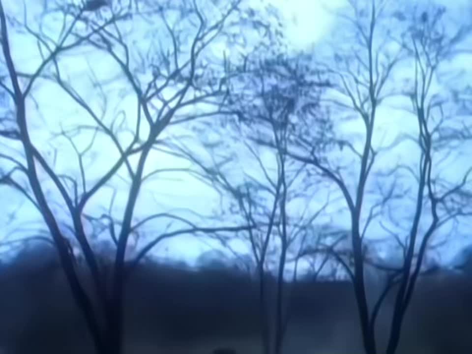 @_stripdepeche