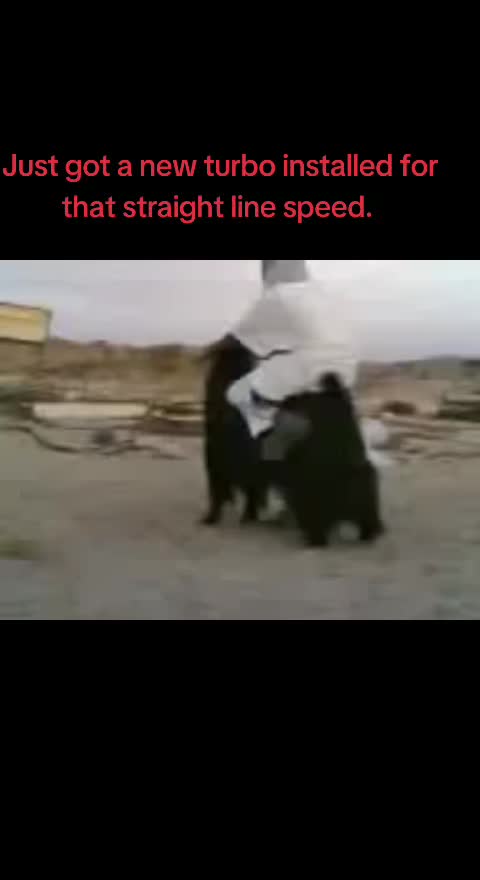 @â ïž ððððð¥ððð ððŠð â ïž