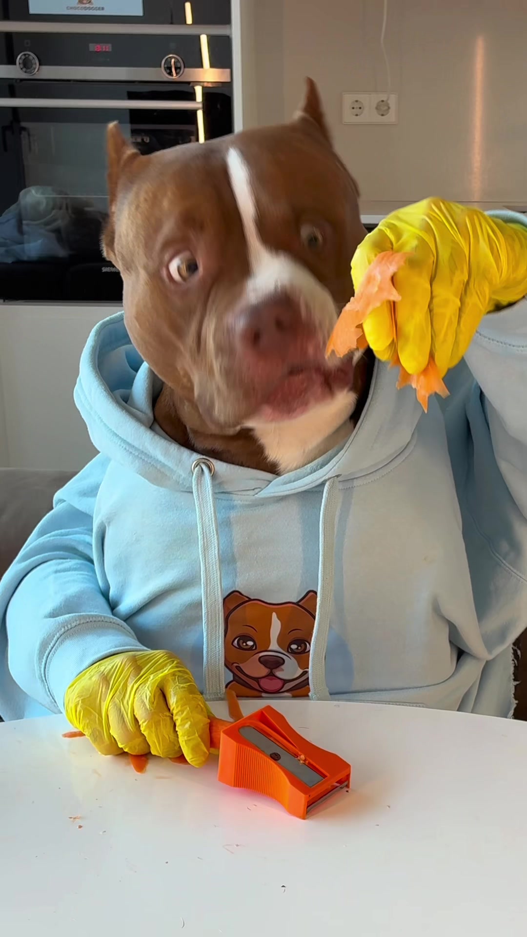 @Chocodogger
