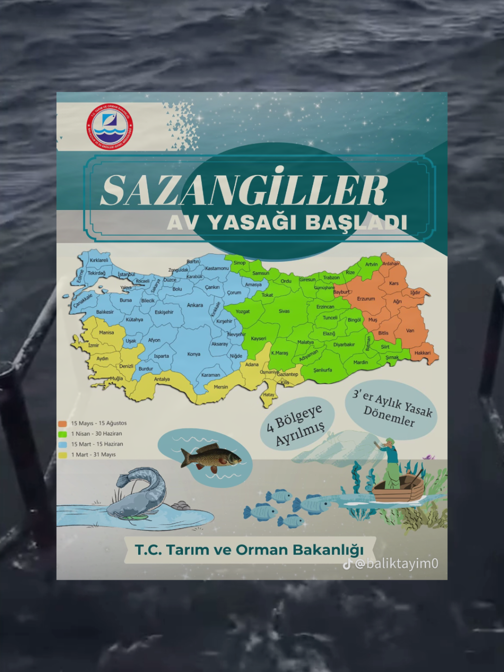 @yavuzer balık&ccedil;ılık av market