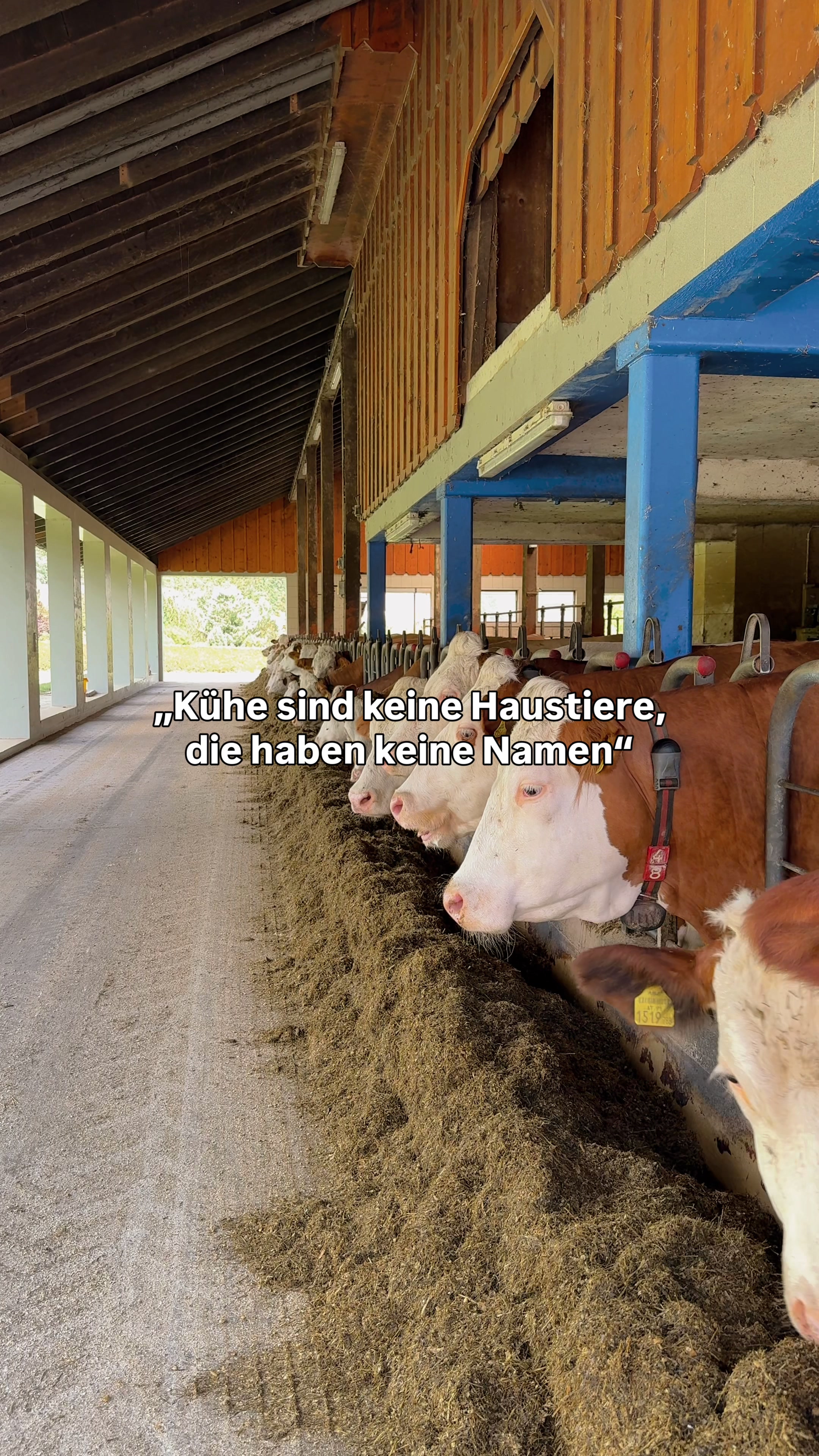 @landwirtschaft.moosbauer