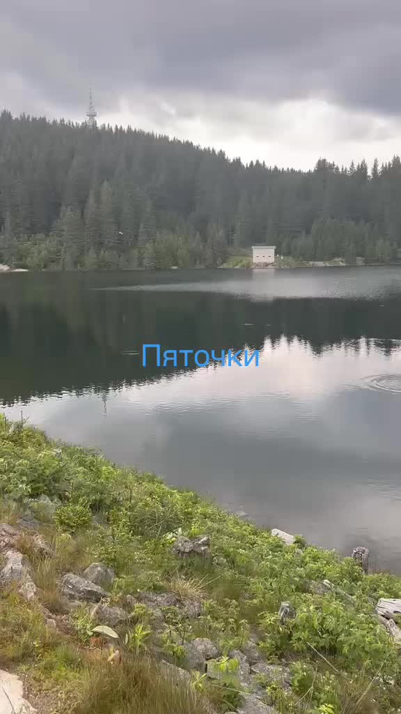 @Пяточки ✄︎