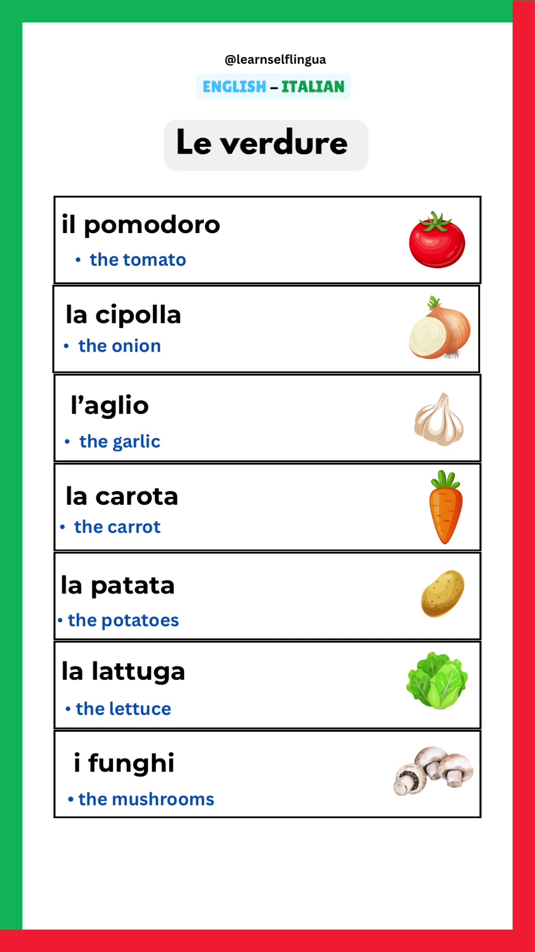 @Learnself lingua