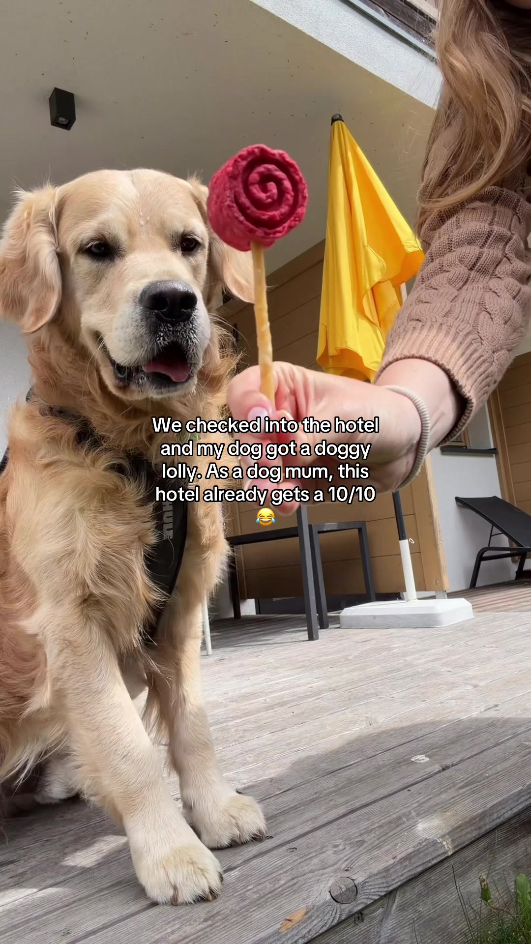 @Charlie and friends