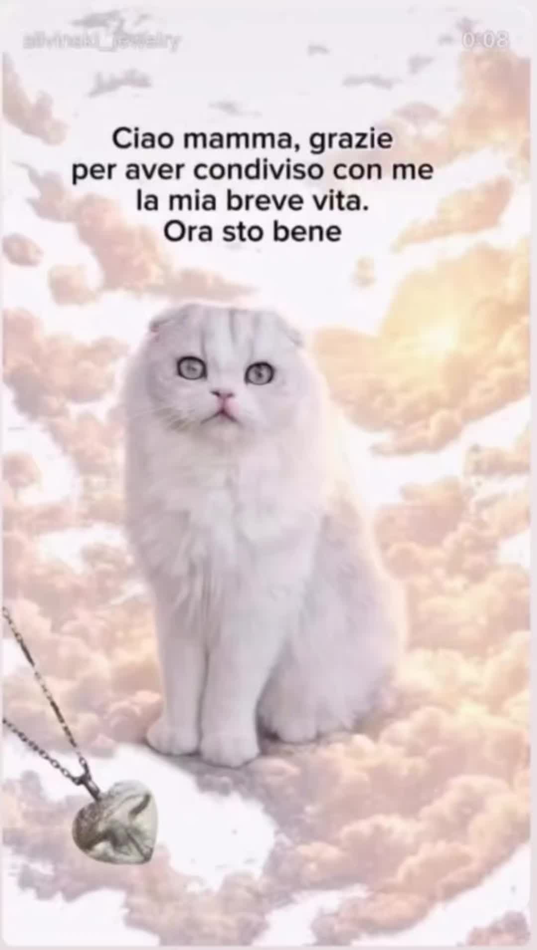 @Gaston & Margot 🐈♥️🐱