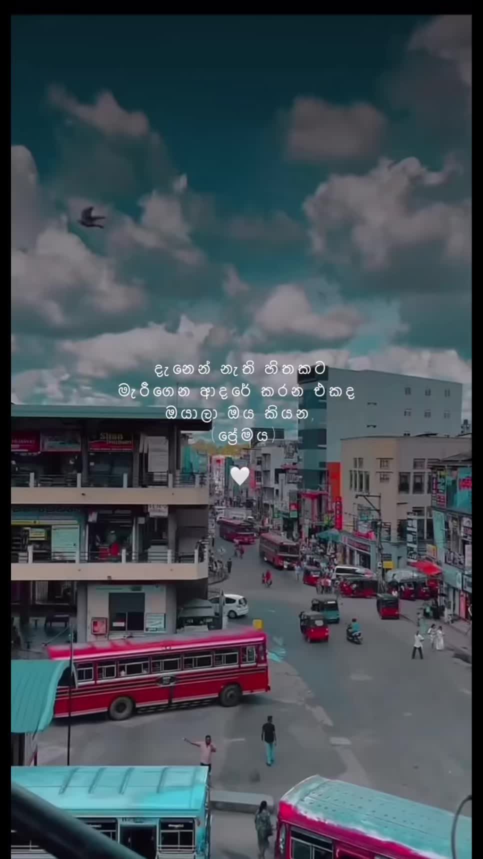 @вloѕѕoм 🤍