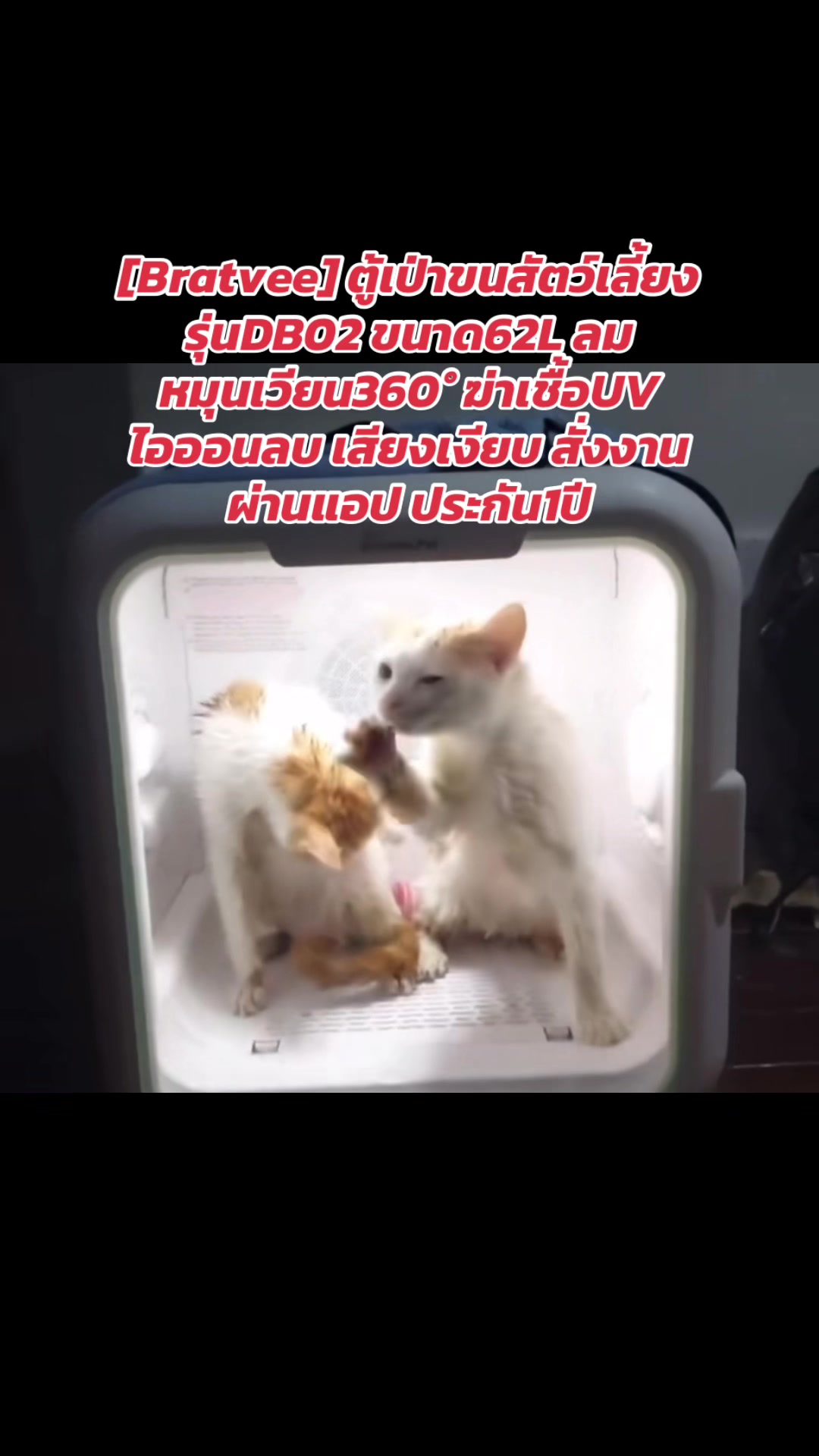 @luxsiriwan21