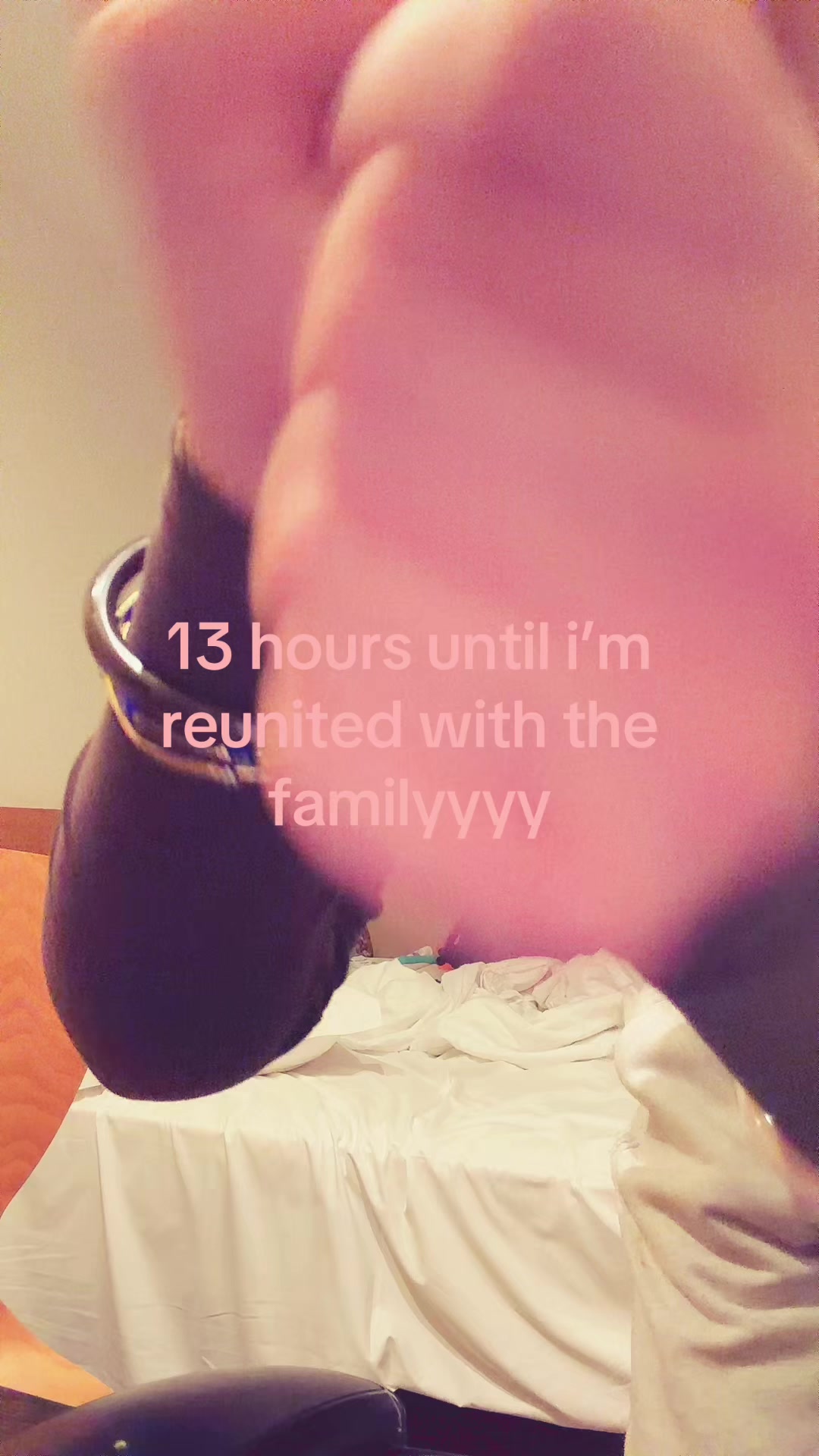 @traavael.co