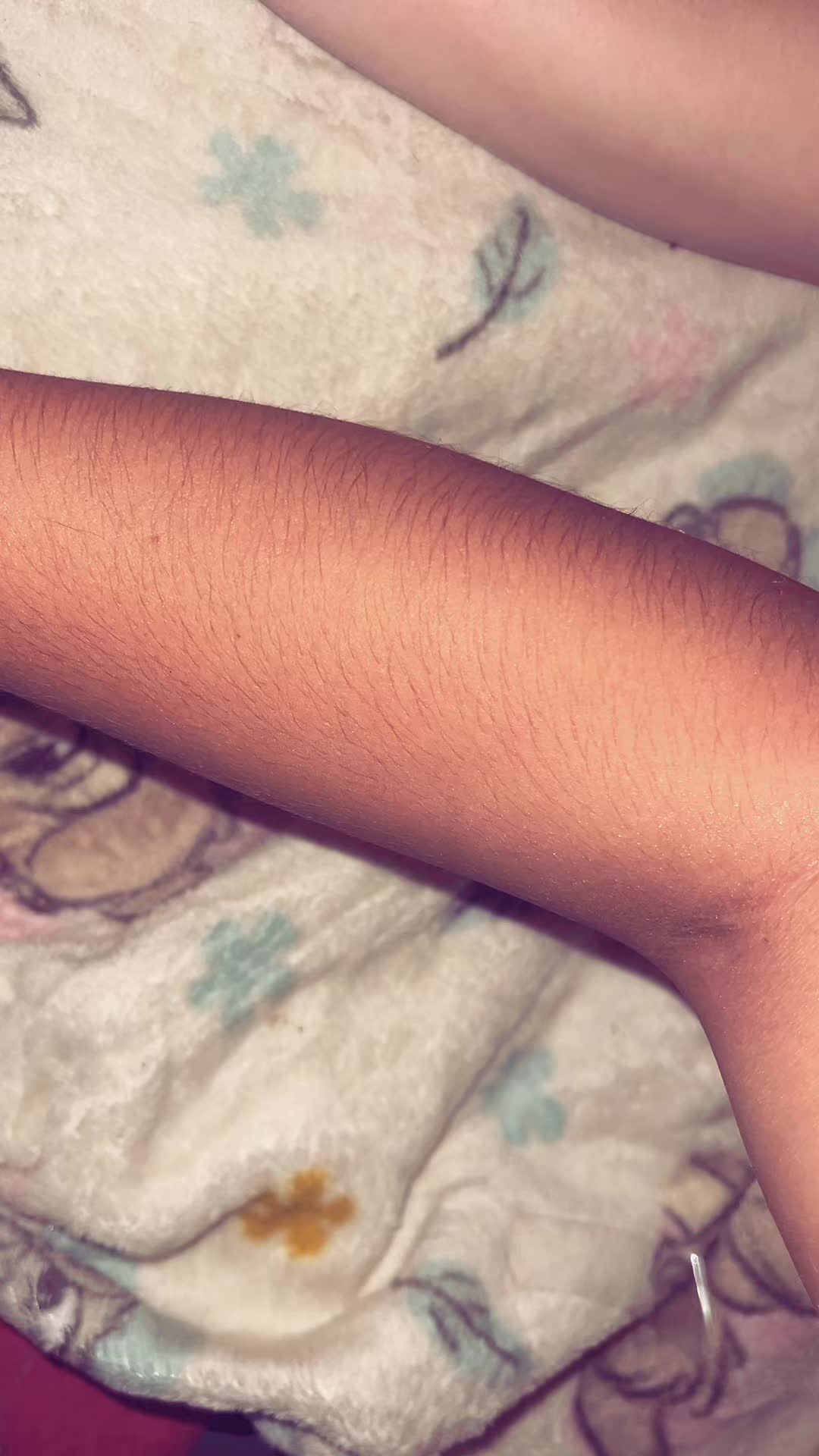 @le_ll1313