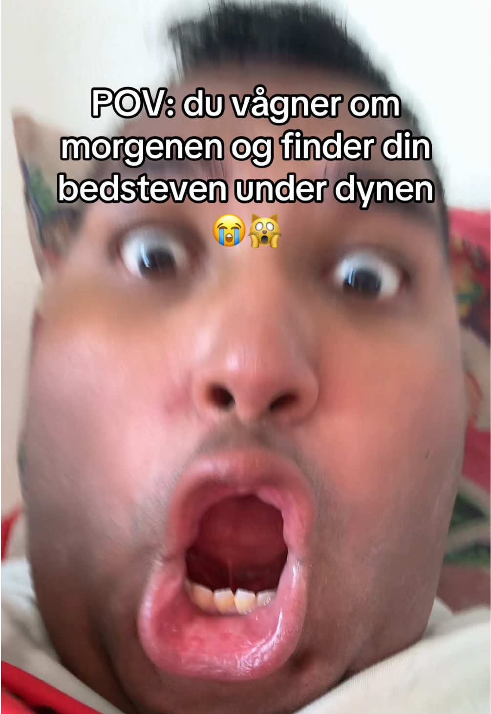 @WilliamElmark