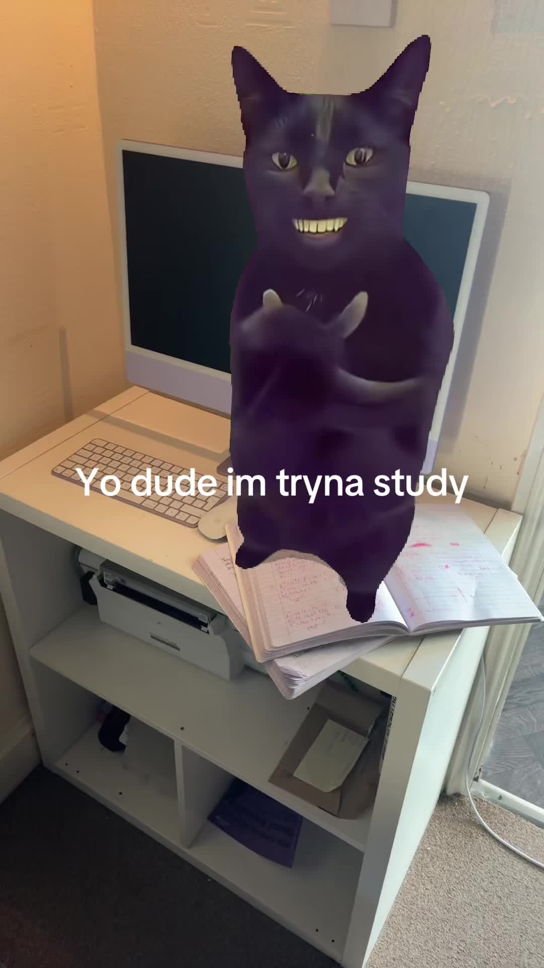 @kamsyy💕✨
