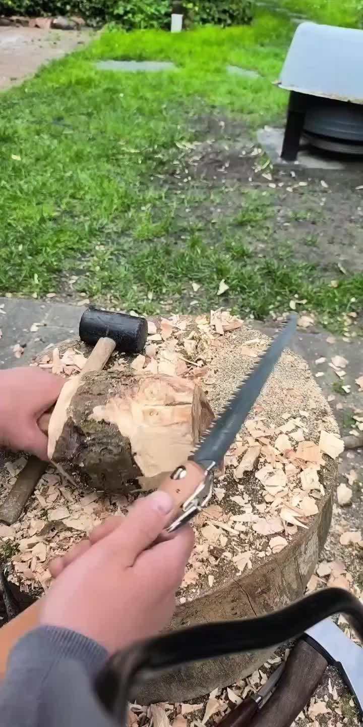 @DieSelbstvOrsorger
