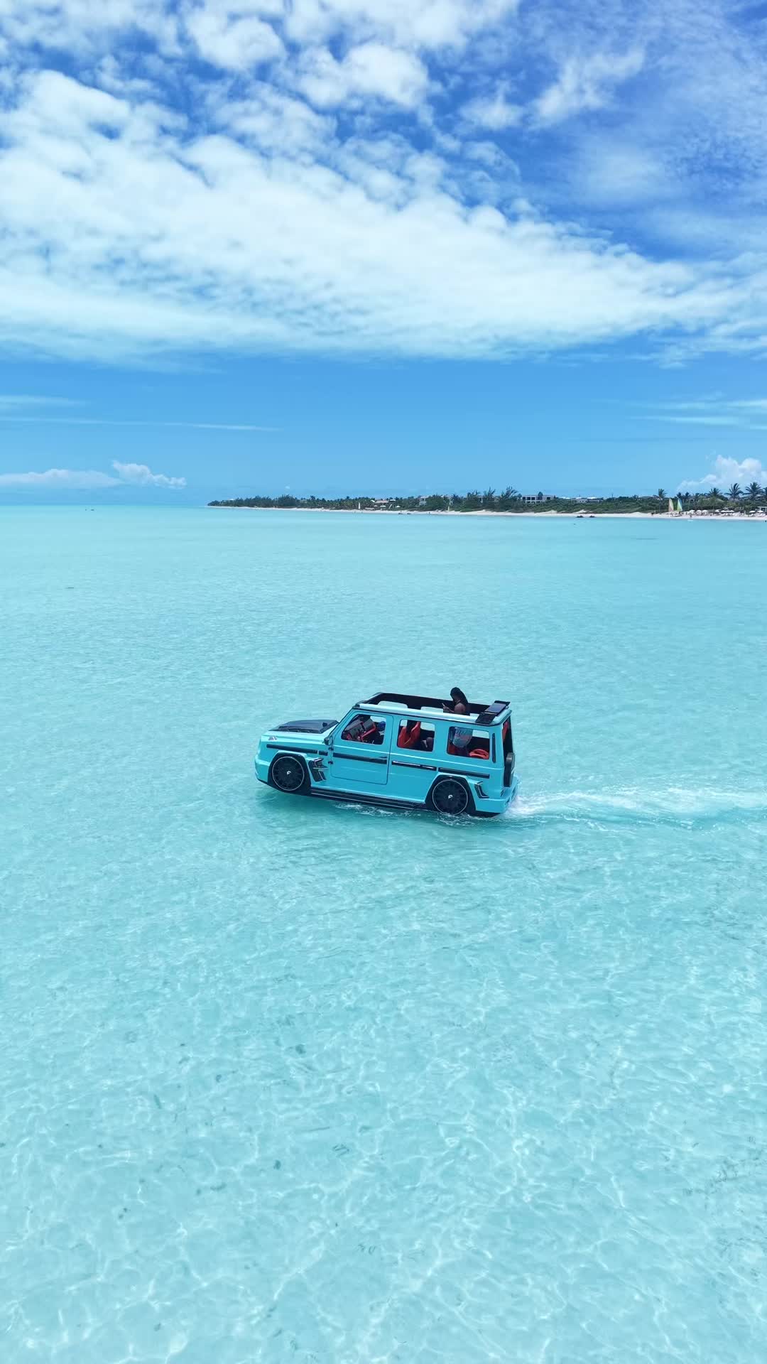 @Wavy Shad🏝🌊