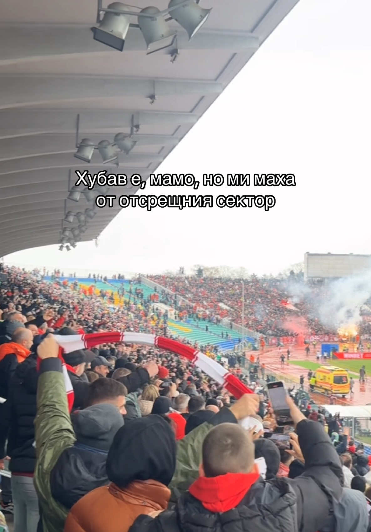 @Karina