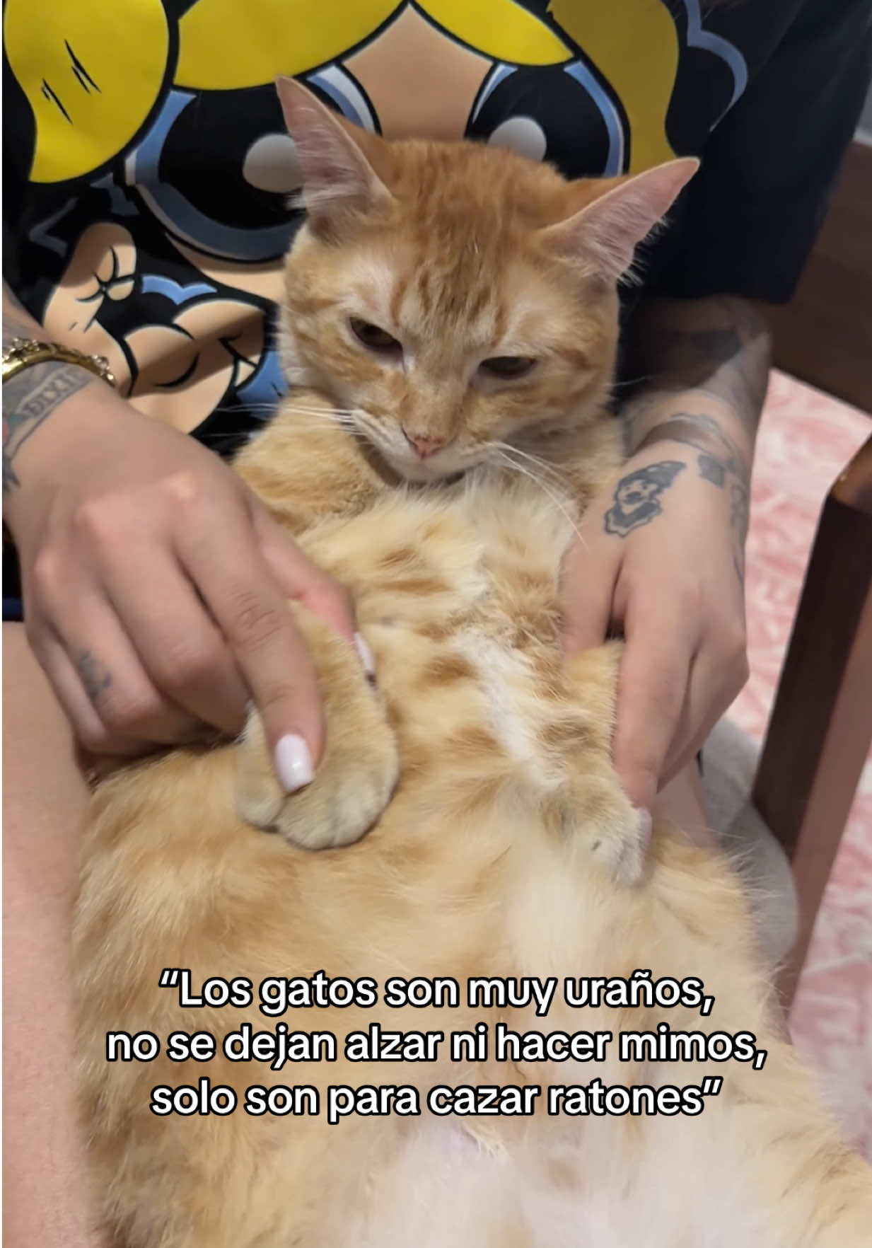 @chuchy
