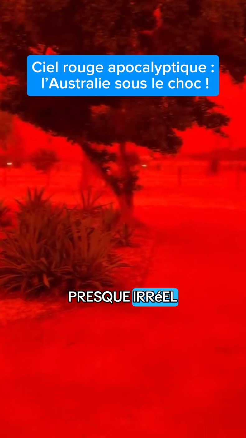 @Actualit&eacute; 🇨🇵