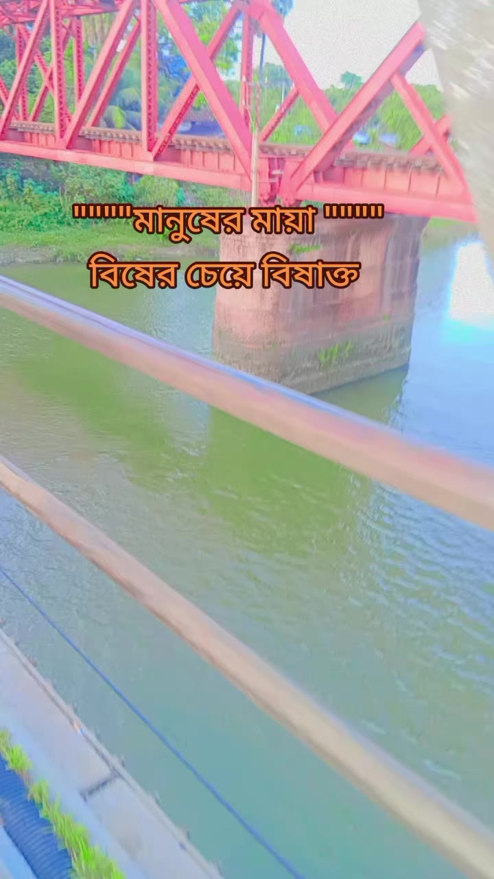 @শূন্য জীবন
