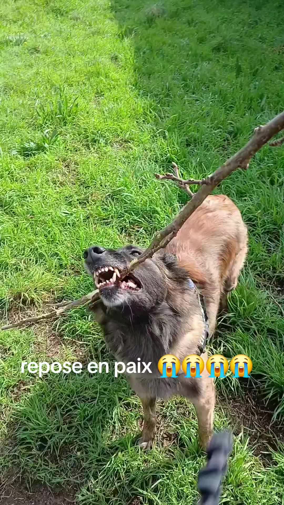 @mickael duval